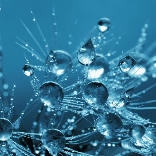 SPECIALTY CHEMICALS